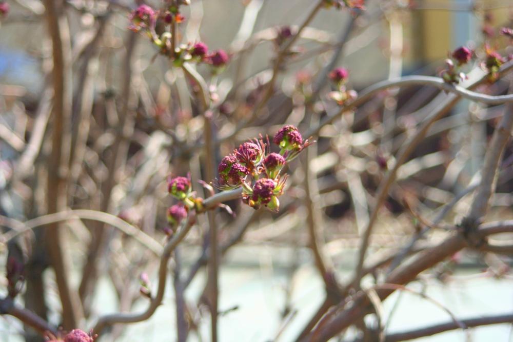 �������&nbsp;�������.&nbsp;���������&nbsp;�������