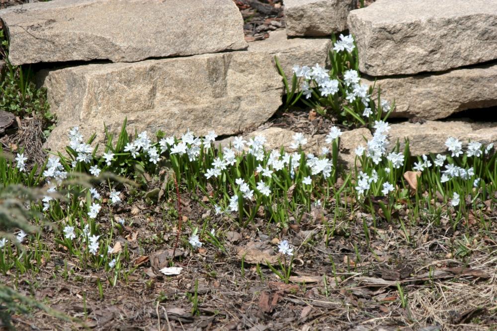 �������&nbsp;�������.&nbsp;���������&nbsp;�������