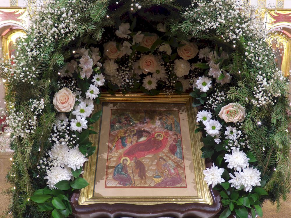 �����������������