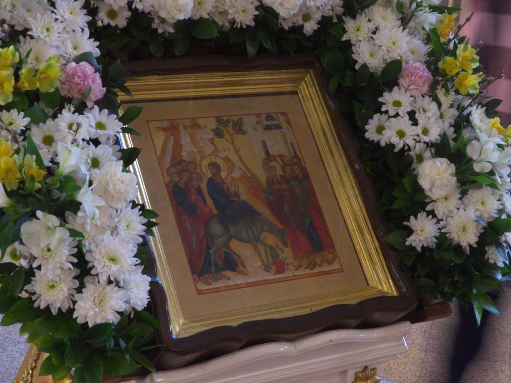 ������������������������.����������������