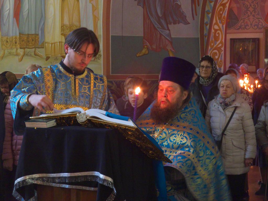 ������������&nbsp;���������&nbsp;����������