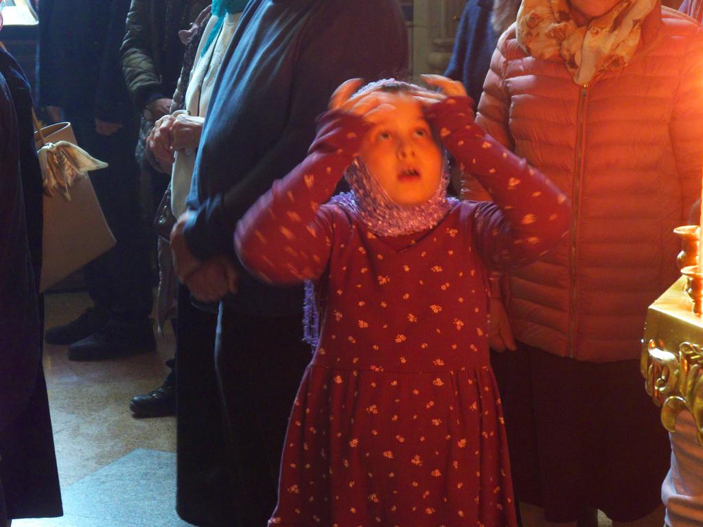 ������������&nbsp;���������&nbsp;����������