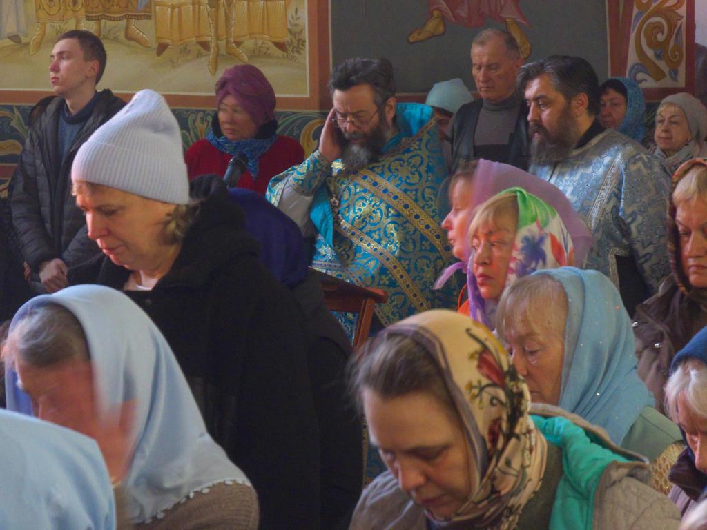 ������������&nbsp;���������&nbsp;����������