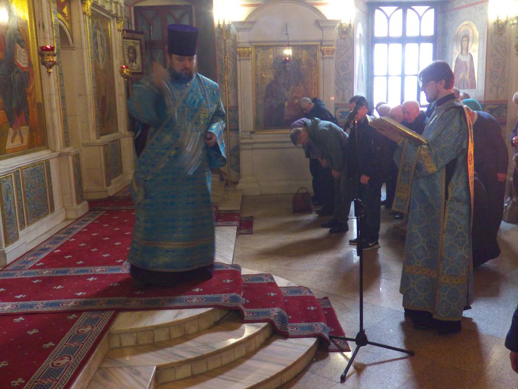 ������������&nbsp;���������&nbsp;����������