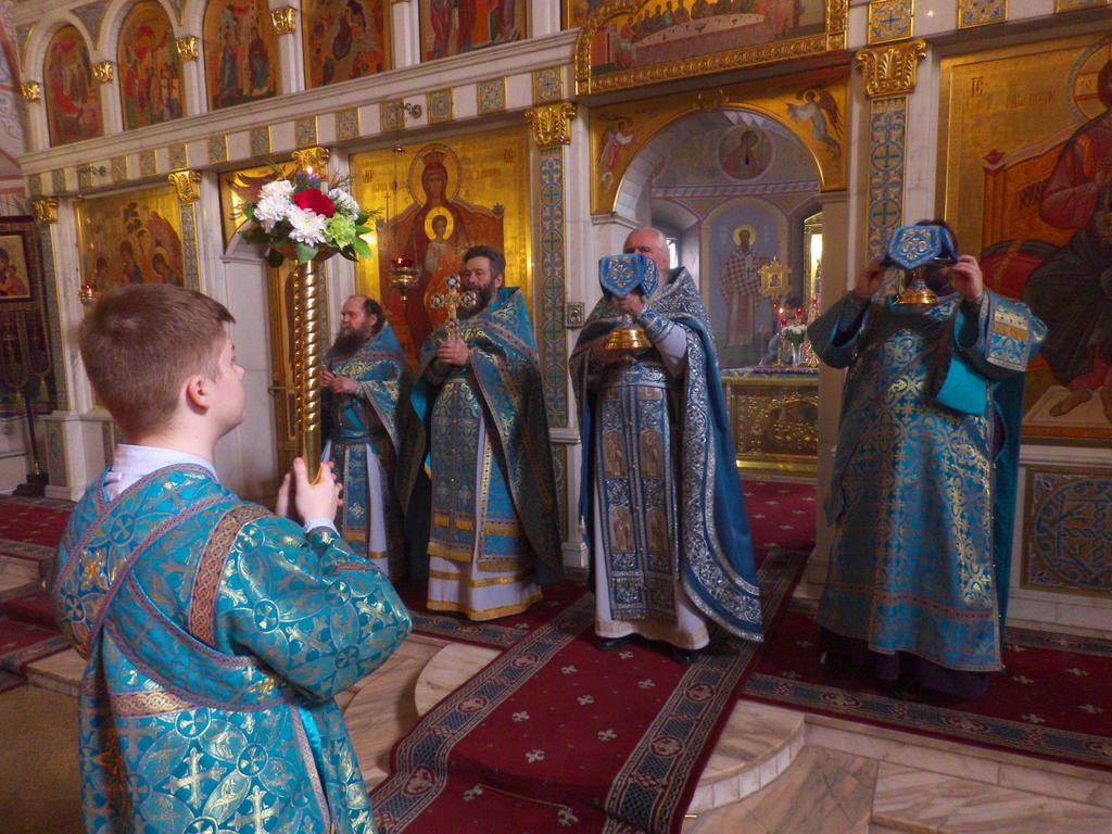 ������������&nbsp;���������&nbsp;����������