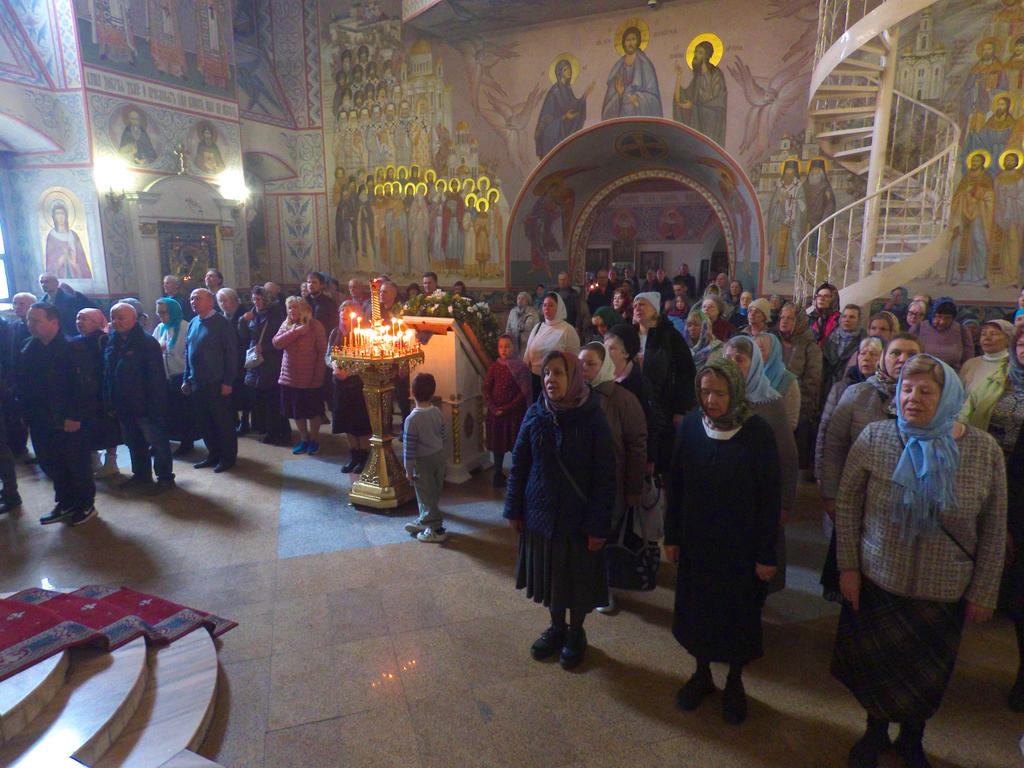 ������������&nbsp;���������&nbsp;����������