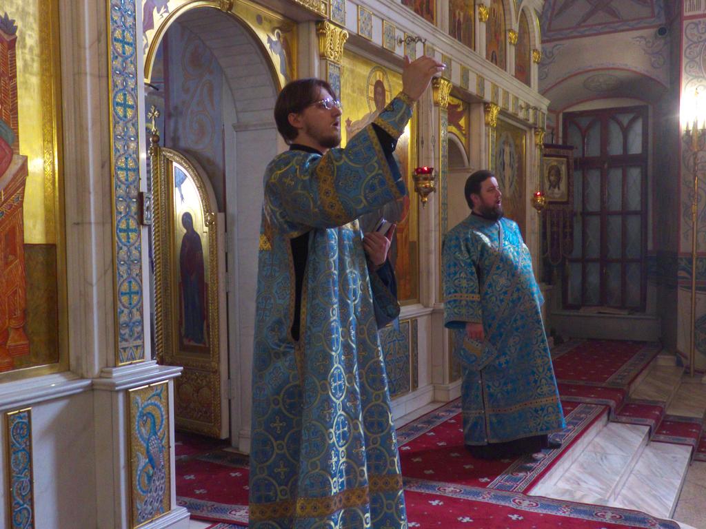 ������������&nbsp;���������&nbsp;����������