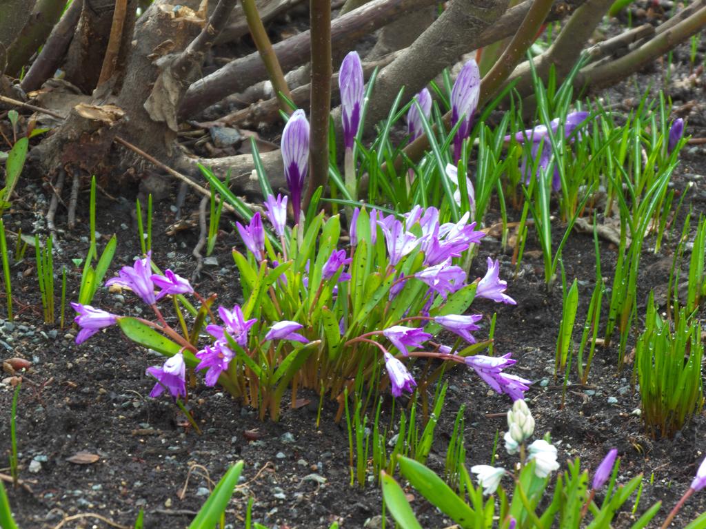 ������������&nbsp;���������&nbsp;����������