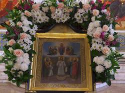 ������������������������������������������