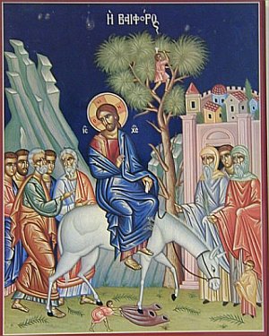 ����&nbsp;���������&nbsp;�&nbsp;���������